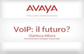 © 2009 Avaya Inc. All rights reserved.