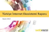 Webrazzi Turkiye Internet Ekosistemi Raporu - Kasim 2013