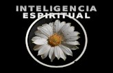 La inteligencia espiritual está por encima de la inteligencia operativa, la que nos permite resolver problemas mediante el razonamiento lógico e incluso.