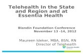 Telehealth In the State and Region and at Essentia Health