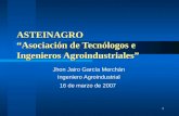 1 ASTEINAGRO Asociación de Tecnólogos e Ingenieros Agroindustriales Jhon Jairo García Merchán Ingeniero Agroindustrial 16 de marzo de 2007.