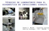 TÉCNICAS DE LABORATORIO PARA EL DIAGNÓSTICO DE INFECCIONES VIRALES Pedro E. Morán - Carolina Ceriani Área de Virología – FCV – UNCPBA - 2006.