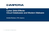 Cyber Side-Effects - Cloud Databases and Modern Malware