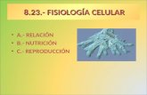8.23.- FISIOLOGÍA CELULAR A.- RELACIÓN B.- NUTRICIÓN C.- REPRODUCCIÓN.