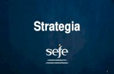 SEFEn strategia 2013-2015