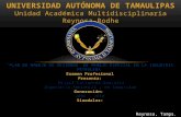 UNIVERSIDAD AUTÓNOMA DE TAMAULIPAS Unidad Académica Multidisciplinaria Reynosa-Rodhe PLAN DE MANEJO DE RESIDUOS DE MANEJO ESPECIAL EN LA INDUSTRIA PETROLERA.