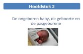 2. ongeboren baby, geboorte en pasgeborene PBLO-V