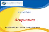 ASIGNATURA: Acupuntura PROFESOR: Dr. Renán Horna Figueroa.
