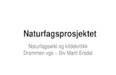 Naturfagsprosjektet på Drammen vgs