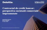 Negotiating Loan Agreements Borrowers View / Negocierea contractului de credit - perspectiva societatii imprumutate