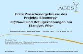 Josef Mayr zu Zwischenergebnissen des Projektes Bioenergy-Silphium und Beflugerhebung am Standort Wien