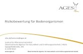 "Kupfer im Pflanzenschutz - Risikobewertung für Bodenorganismen" - Alex DELLANTONIO (AGES)
