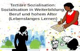 Tertiäre Sozialisation: Sozialisation in Weiterbildung, Beruf und hohem Alter