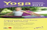 Yoga Vidya Abendkurse Juli bis Dezember 2012