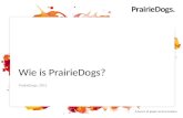 Prairie Dogs.