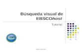 Búsqueda Visual de Ebsco host