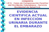 COMITÉ DE PROTOCOLIZACIÓN CONJUNTA I.P.S. Cajas de Compensación Familiar del Occidente Colombiano - Servicio Occidental de Salud S.A. EVIDENCIA CIENTIFICA.