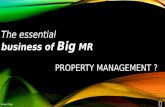 Property Management : BiG MR Essential Business