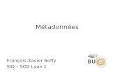 Metadonnees -- une typologie