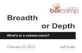 Breadth or Depth: What's in a column-store?