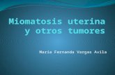 María Fernanda Vargas Avila. Definición Tumores benignos estrógeno-dependientes que se originan del músculo liso uterino y contienen elementos conectivos.