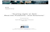 Scaling Agile at Dell: Real-life Problems - and Solutions