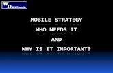 Mobile strategy who needs it and why is it important