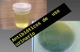 Antibióticos de uso urinario. Beta lactámicos: amoxicilina-clavulánico Cefalosporinas de segunda generación Cefuroxime. Trimetoprim Sulfametoxazol Quinolonas.