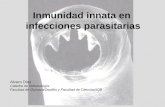 Inmunidad innata en infecciones parasitarias Alvaro Díaz Cátedra de Inmunología Facultad de Química/DepBio y Facultad de Ciencias/IQB.