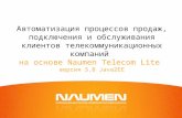 Автоматизация работы с клиентами (Naumen Telecom Lite)