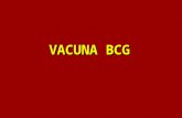 VACUNA BCG. La sigla significa: Bacilo de Calmette Guerin, elaborada con bacilos vivos y atenuados.