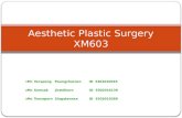 Aesthetic plastic surgery v1.1