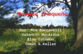 Bosque chaqueño Por: Mia Baccanelli Valentín MacArdle Blas Colombo Tomás G.Keller.