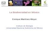 Enrique Martínez-Meyer Instituto de Biología Universidad Nacional Autónoma de México La Biodiversidad en México.