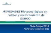 NOVEDADES Biotecnológicas en cultivo y mejoramiento de SORGO Todo Sorgo 2012 Rio Tercero, Septiembre 2012.
