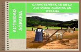 ACTIVIDAD AGRARIA CARACTERÍSTICAS DE LA ACTIVIDAD AGRARIA EN ESPAÑA Fuente: Banco de Imágenes CNICE.