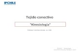 Tejido conectivo Professor: Verónica Pantoja. Lic. MSP. “Kinesiologia” IPCHILE - Kinesiologia DOCENTE:Veronica Pantoja S. 2014.