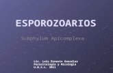 ESPOROZOARIOS Subphylum Apicomplexa Lic. Luis Ernesto González Parasitología y Micología U.N.S.L. 2011.