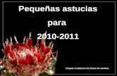 Pequeñas astucias para 2010-2011 Cliquez et admirez les fleurs de cactées.