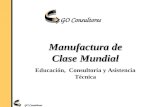 GO Consultores Educación, Consultoría y Asistencia Técnica Manufactura de Clase Mundial GO Consultores.