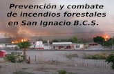 Prevención y combate de incendios forestales en San Ignacio B.C.S.