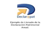 Ejemplo de Llenado de la Declaración Patrimonial Anual.