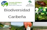 Biodiversidad Caribeña. Áreas Megadiversas (Hotspots)  Basados en la alta riqueza de especies y endemismos, los conservacionistas.
