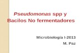 Pseudomonas spp y Bacilos No fermentadores Microbiología I-2013 M. Paz.