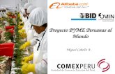 Proyecto PYME Peruanas al Mundo Miguel Cabello A..