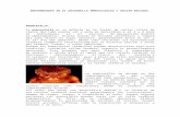 Enfermedades en El Desarrollo Embriologico y Recien Nacidos