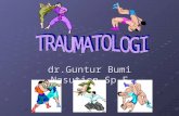 DM K9 - TRAUMATOLOGI