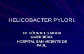 HELICOBACTER PYLORI. Dr. SÓCRATES MORA GUERRERO. HOSPITAL SAN VICENTE DE PAÚL.