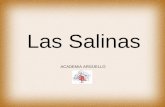 Las Salinas ACADEMIA ARGÜELLO. Las Salinas están ubicadas al noroeste de la provincia de Córdoba. Estas se dividen en Salinas Grandes y Salinas de Ambargasta.