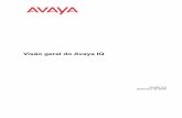Manual Avaya